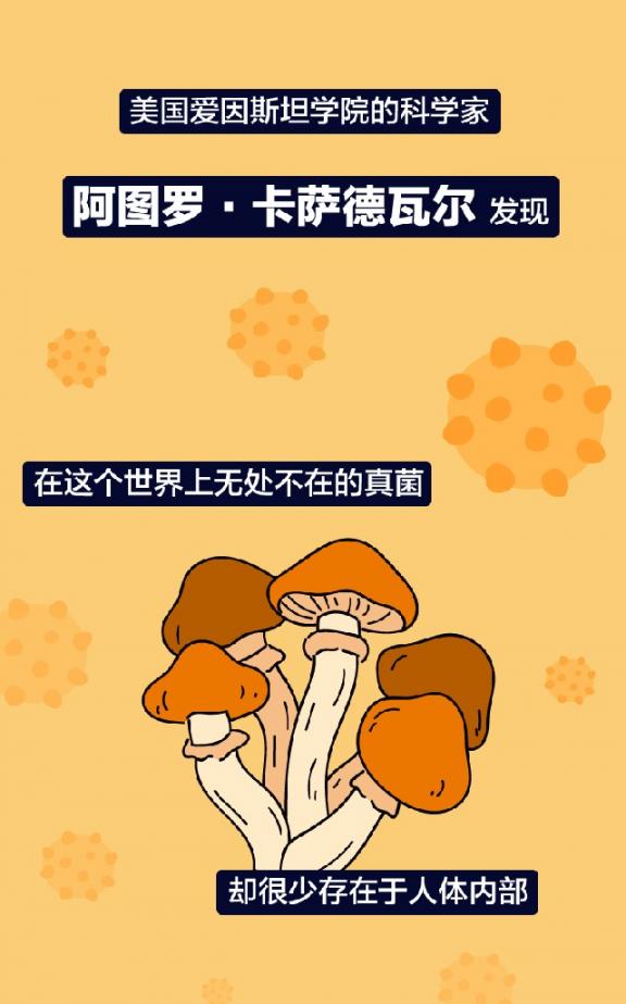 体温越低，免疫力越差？竟然是真的！疫情期间 体温多少才算正常  如何增强皮肤免疫力 额温型红外线体温计 提高自身免疫力的药 身体美白乳液 人的身体构造图 第6张
