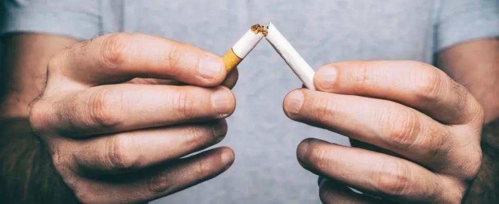 肾癌，易被忽视的“沉默杀手”  肾脏保健 胃镜检查后注意事项 肾癌的治疗 寂静杀手成就 连环杀手的扭曲心理学 第2张