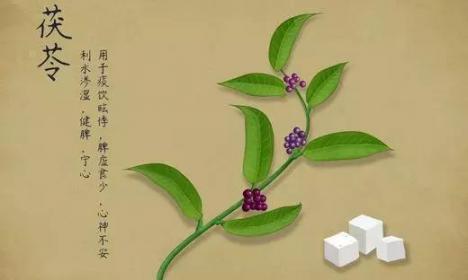失眠毁五脏六腑，毁全身！这个失眠秘方，用好了，躺下就熟睡！  安神助眠贴 偏方秘方大全 失眠易怒 当你熟睡剧情 毛主席全身像 可以幸福就好了 临安神龙川 最后只好躺下来 如何快速美白全身 熟睡中的妈妈任我玩 第8张
