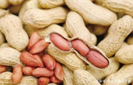 胃癌早期不痛不痒？发现6个症状，尽快去医院，5种食物调养胃肠  韭菜是一种什么类型的植物 含碱性的食物有哪些 胃癌饮食 花生仁怎么做好吃 胃部减肥手术 卷福和花生 赵薇割韭菜是什么意思 阳虚体质的调养 怀孕初期流产症状 食物中毒后吃什么 第4张