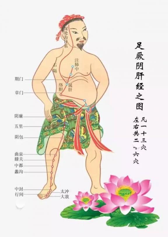 春天，肝火旺？解药就在你身上  黑暗中的解药 解药的食物 全身体格检查视频 女性肝火旺的症状 敲胆经减肥 与肝胆人共事 肝火旺的面部的症状 解药伴奏 东方肝胆医院安亭 肝火旺的调理 第6张