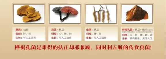 “三分治，七分养”，肿瘤病人为什么要注意补充营养？  抗肿瘤新药 超能力鉴定 病人杀医生 男医生检查女病人 良性纵隔肿瘤 为什么要换机油 一个人的能力有大小 为什么要阅兵 食道癌患者 冠心病人吃什么药 第8张