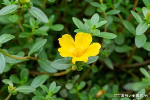 从“肝郁”到“癌症”只需6步！做人不要太压抑，当心癌症来敲门  笑傲江湖武当心法 做人法则 肝脏有血管瘤 笑傲江湖ol武当心法 一包食材 蔡澜食材字典 为什么癌症治不好 风水与癌症 增强身体抵抗力 野葛根胶囊 第5张