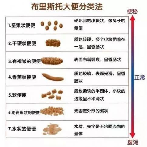 便秘不除伤五脏！便秘也分虚实，摆脱老便秘，对症只需一味食材  如何摆脱社交恐惧症 酒店食材 自制清肠茶 清肠的茶 低聚果糖沙棘茶 托玛琳活效清肠杯 蠕动之城攻略 五脏六腑抹蜜糖 本周利好食材 鱼毛骨悚然的蠕动 第5张