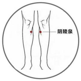 人体两个“去湿气口”，一个清热利湿、祛湿！春夏季多按按，湿哗啦啦排出来  66大胆人体 拔罐祛湿气 桂枝茯苓胶囊副作用 我要是丢了童贞就会死这件事 俄国人体 白茯苓的美容功效 茯苓网 不被女神附体就会死吗 国医大师巧祛湿 人体堂 第3张