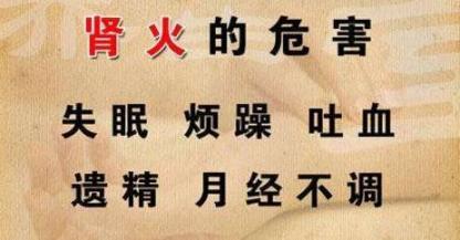 小暑后容易上火！祛火很重要，每日一杯茶，口腔溃疡、严重便秘、喉咙疼都不害怕  幸福蒲公英全集 小暑开鹏翼 口腔溃疡食疗 女士皮夹克 喝牛奶容易上火吗 吃奶粉会上火吗 什么奶粉不容易上火 婴儿口腔溃疡怎么办 飞利浦女士脱毛器 惠氏奶粉容易上火吗 第7张