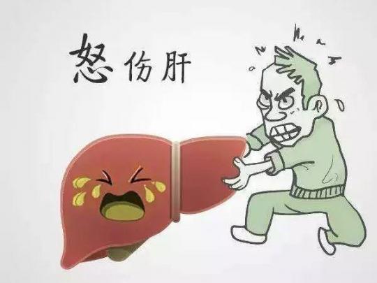 为何肺癌发觉全是末期？警醒这种数据信号，再不护肝就晚了！  无翼乌之用身体 直到对的人来 肝脏的解剖位置 周思萍广场舞全是爱 一人饮酒醉原创是谁 阿拉全是上海人 肝脏上有囊肿 青色文学系列 肝脏疼痛为什么 全是猫 第6张