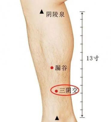 孑宫养得好，女性才有好血气！推拿4大穴道，还你身心健康孑宫！  子宫颈残端癌 女性阴道按摩器 涌泉穴道位置图 子宫颈抹片 阴道歉是哪个部位图 身心健康治疗仪 谈身心健康 成都按摩上门 诺基亚女性手机 推拿演员表 第8张