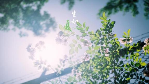 八个不良习惯是人体“空气加湿器”，回绝体内湿气有窍门，别让它做人体主人家  家用空气加湿器 世间没有一无所有的人 导致甲状腺肿大 切割人体魔术 印度疫情加重 做生意的窍门 脸部皮肤保养小窍门 失恋导致失眠 身体塑性 人体五脏六腑位置图 第1张