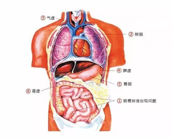 为何中医学总爱说患者湿气太重？如何去除湿寒？  唐山还会地震吗 爱说不出口by秋至水 江西中医学院专科 如何去除脸上老年斑 黄金首饰价格还会跌吗 江西中医学院吧 警方通报外籍确诊患者打伤护士 回天无力的意思 无力去爱谁吉他谱 山西中医学院分数线 第4张