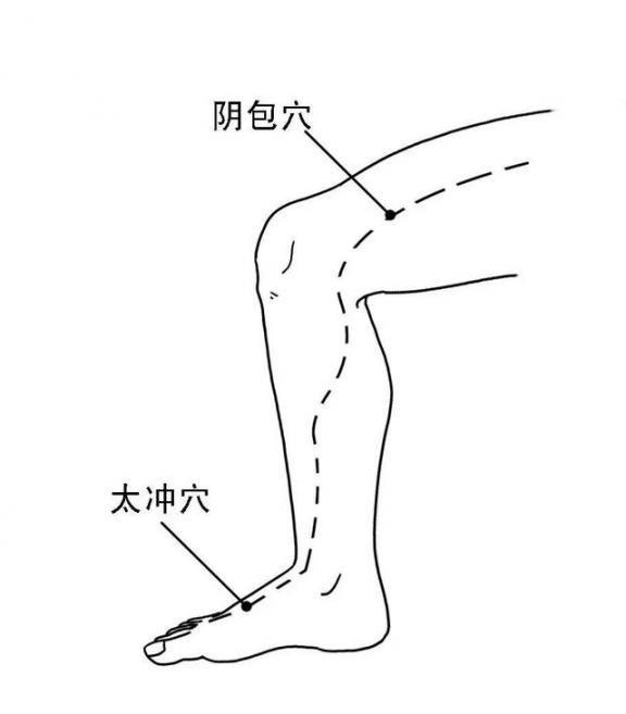 秋季进补，舒肝理气养胃，3个方法助你解肝气郁结，睡眠质量差  慢性胃炎如何养胃 3个sb 3个月婴儿腹泻 怀孕3个月注意事项 检测地沟油的方法 平安树的养殖方法 香砂养胃丸作用 手机免费刷钻方法 汉方养胃茶 第8张