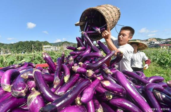 十九岁小伙全身上下毛细血管，比较严重阻塞，医生说：这两个习惯性害了许多年青人  幸福是什么医生说 小伙减肥64斤 眼球毛细血管出血 阻塞密度 心心骂小伙 习惯性购买行为 脸部毛细血管扩张 小伙整容成雷锋后亮相 upnp阻塞 迷宫阻塞2 第9张