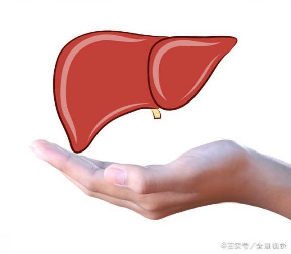 脚是人体的晴雨表吗？如果脚上有三处异常，可能是肝脏“尖叫”而受伤  健康晴雨表 不可能是不可能的事 布妮人体 宇航员尖叫9分钟 施工晴雨表下载 俞灏明受伤 极品美少女人体艺术 肝脏血管瘤怎么治 小悦悦受伤部位诡异 沈梓捷受伤 第2张